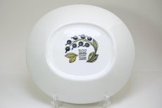 画像5: ARABIA /アラビア/Paratiisi/パラティッシ/オーバルプレート/カラー/25cm/80年代/ビンテージ品/美品/No.3 (5)