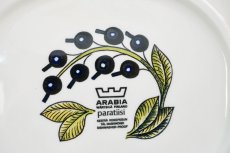 画像6: ARABIA /アラビア/Paratiisi/パラティッシ/オーバルプレート/カラー/25cm/80年代/ビンテージ品/美品/No.3 (6)