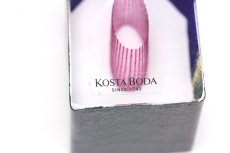 画像3: 北欧ガラス /KOSTA BODA /Bertil Vallien/Mini Sculptures/Country Living/ハウス/No.2 (3)