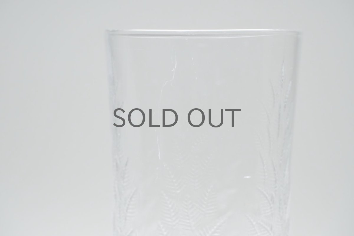 画像2: ビンテージ北欧雑貨/iittala/イッタラ/Koivu/コイブ/白樺グラス/ロンググラス (2)