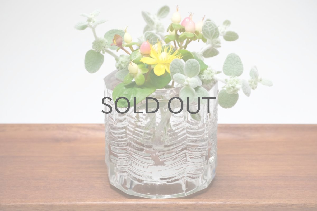 画像7: フィンランド/Iittala/イッタラ /Kuusi/クーシ /もみの木/キャンドルホルダー/H7.5cm (7)