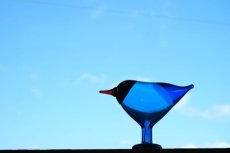 画像9: 北欧アートガラス/ビンテージガラス/Oiva Toikka/オイバ・トイッカ/Nuutajarvi/Birds/バード/Mustanokka/SSKK 2002年 (9)