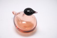 画像7: 北欧アートガラス/ビンテージガラス/Oiva Toikka/オイバ・トイッカ/イッタラ/Birds/バード/Chiff Chaff/Tiltti/サーモンピンク (7)