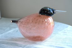 画像4: 北欧アートガラス/ビンテージガラス/Oiva Toikka/オイバ・トイッカ/iittala/イッタラ/Birds/バード/2002年アニュアルバード/Helmikana/Guinea Fowl (4)