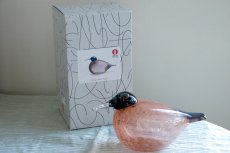 画像12: 北欧アートガラス/ビンテージガラス/Oiva Toikka/オイバ・トイッカ/iittala/イッタラ/Birds/バード/2002年アニュアルバード/Helmikana/Guinea Fowl (12)