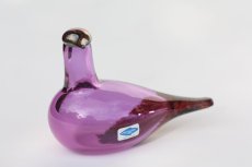画像1: 北欧アートガラス/iittala/イッタラバード/Oiva Toikka/オイバトイッカ/Marsh duck/アメジスト (1)