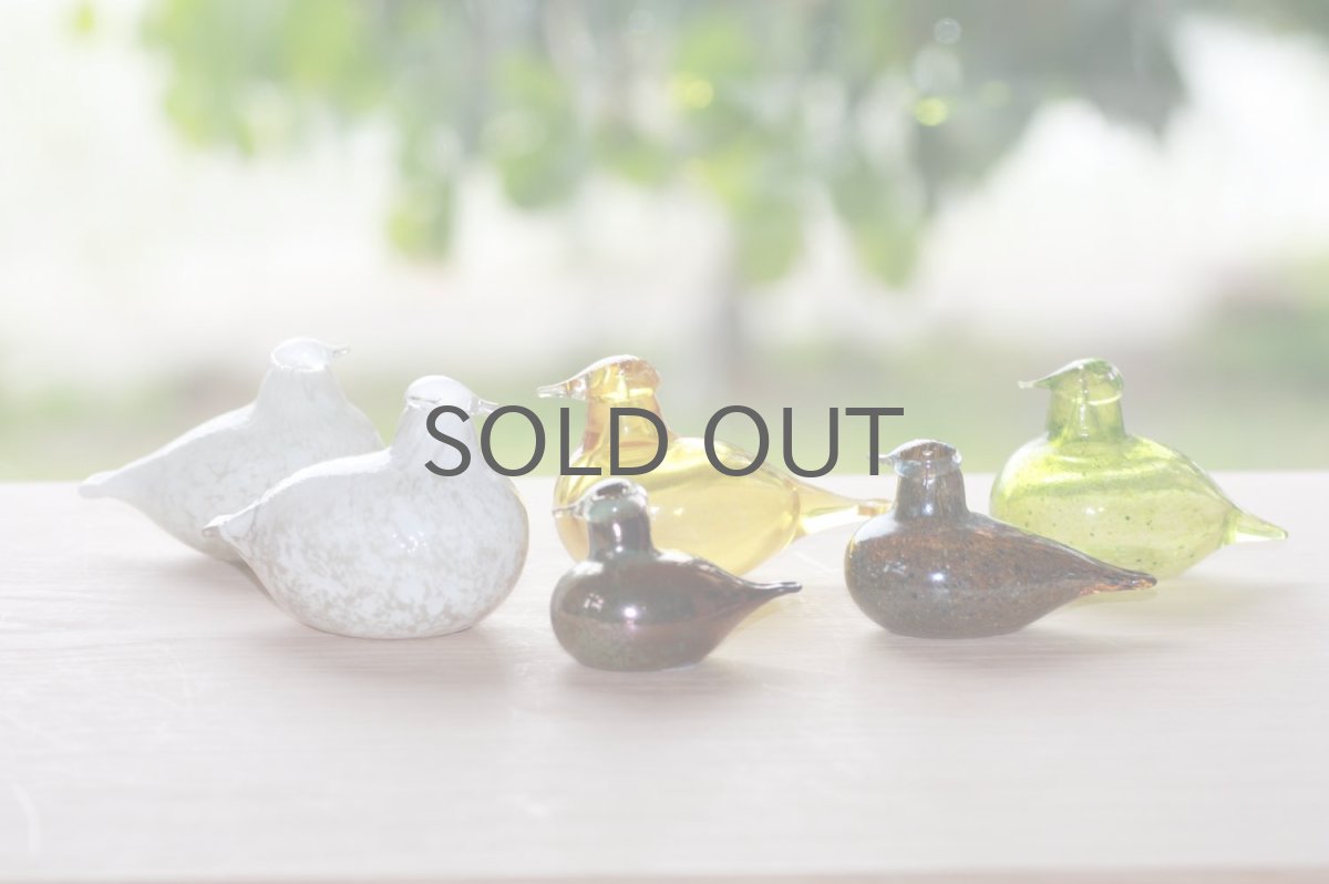 画像8: 北欧アートガラス/iittala/イッタラバード/Oiva Toikka/オイバトイッカ/ Little tern/Golden-Crested Kinglet/イエロー (8)