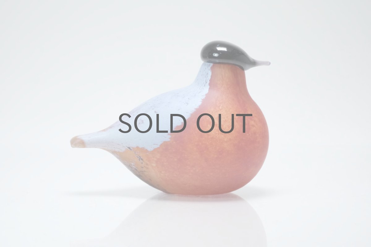 画像4: 北欧アートガラス/Nuutajarvi/ヌータヤルヴィ/iittala/イッタラバード/Oiva Toikka/オイバトイッカ/Small Bullfinch (4)