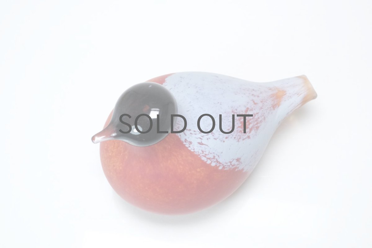 画像3: 北欧アートガラス/Nuutajarvi/ヌータヤルヴィ/iittala/イッタラバード/Oiva Toikka/オイバトイッカ/Small Bullfinch (3)