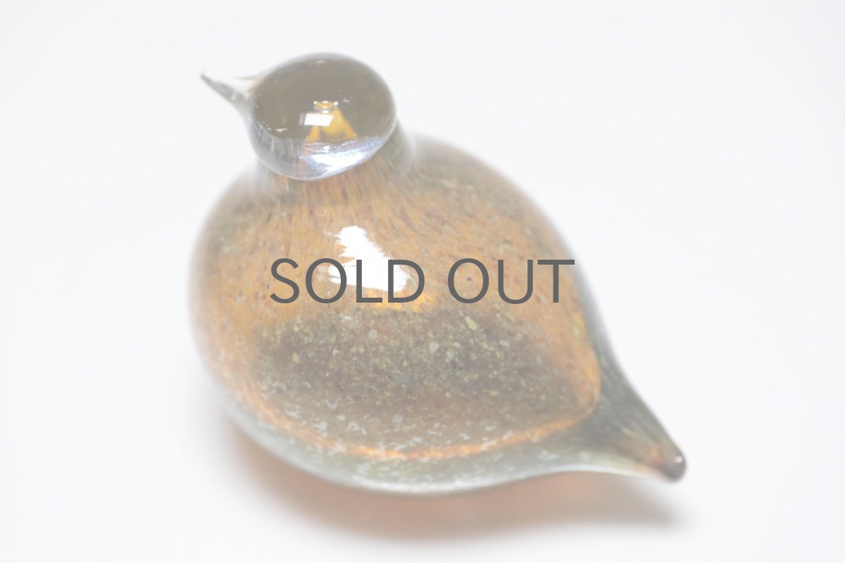 画像2: 北欧アートガラス/iittala/イッタラバード/Oiva Toikka/オイバトイッカ/Golden-Crested Kinglet/半透明ラスタ/No.1 (2)