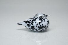 画像4: 北欧アートガラス/iittala/イッタラバード/Oiva Toikka/オイバトイッカ/Small GoldCrest/2004/スモールゴールドクレスト/ホワイト&ブラックラ斑点/No.3 (4)