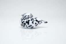 画像1: 北欧アートガラス/iittala/イッタラバード/Oiva Toikka/オイバトイッカ/Small GoldCrest/2004/スモールゴールドクレスト/ホワイト&ブラックラ斑点/No.3 (1)