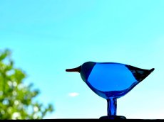 画像8: 北欧アートガラス/ビンテージガラス/Oiva Toikka/オイバ・トイッカ/iittala/イッタラ/Birds/バード/Rantaharakka/Blue Magpie (8)